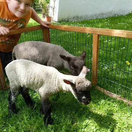 Daire Ferien-am-bauernhof-wohnung-1 *